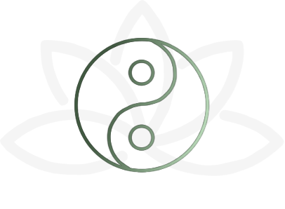 icon-energ-chinoise